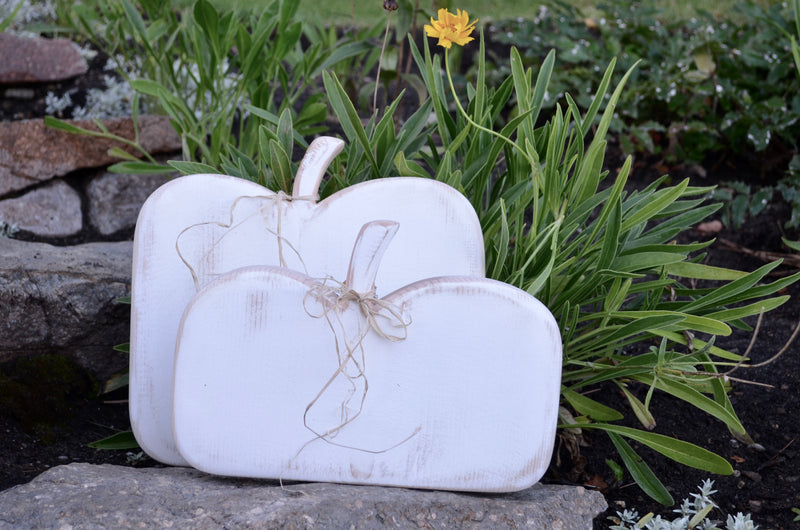 Pumpkins, distressed white,  fall decorating, halloween display,  set of two.