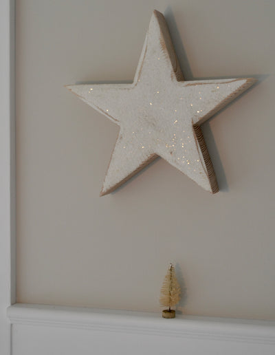 Wall Decore,  Dusted Star, One Small