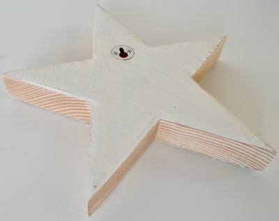 Wall Decore,  Dusted Star, One Small
